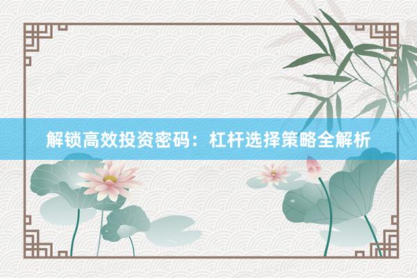 解锁高效投资密码：杠杆选择策略全解析